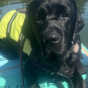 Fundraising Page: Jil Hauge